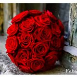fabianaflores