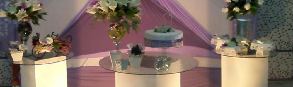 Miss Daisy decorações
