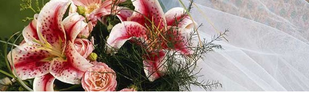 Sublime Eventos