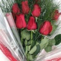 Ramalhete de rosas