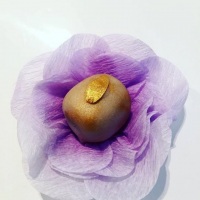 Doces Finos para Festas /Camafeu