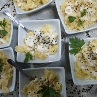 Cardápio de Finger Food, farfalle ao molho quatro queijos com gergelim negro.