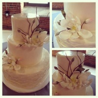 Cake dedign