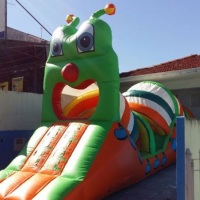 Centopeia gigante
