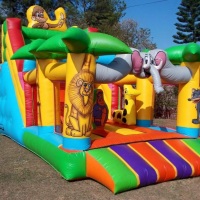 tobogã kidplay arca de  grande
