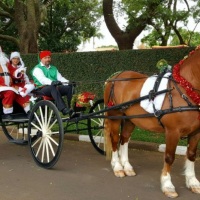 Chegada do Papai Noel de carroagem