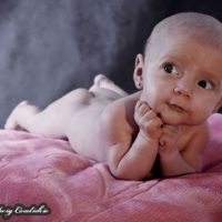 Book/Ensaio Fotográfico Newborn!