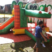 crocodilo 2 em 1