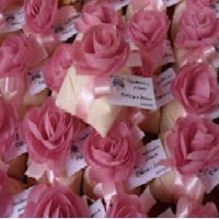 Bem Casado com Rosa