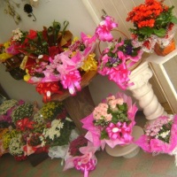 Arranjos Variados