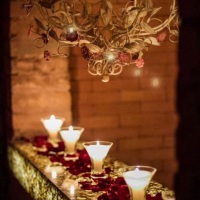 Tulipas luminárias velas