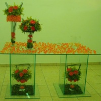 DECORAÇÃ SALÃO DE FESTAS COM 