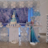 Frozen 27 99734-3417
