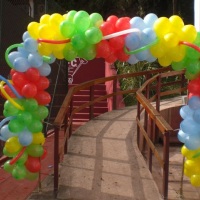 Arco de bexiga