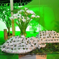 tecido branco com verde