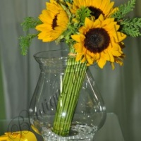 Decoração
