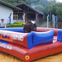 Touro Mecânico