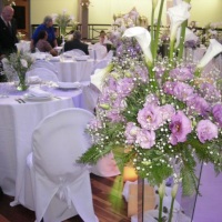 Organizando casamento sofisticado