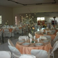 Organizando casamento de pequeno porte