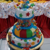 Bolo CIRCO