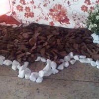Paisagismo Debaixo da Mesa dos Bombons