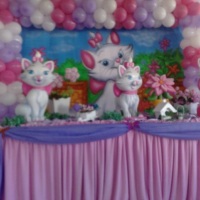 FESTA GATA MARRI