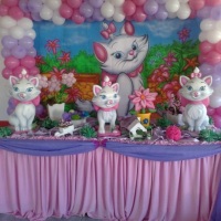 FESTA GATA MARRI