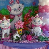 FESTA GATA MARRI