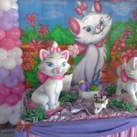 FESTA GATA MARRI