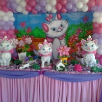 FESTA GATA MARRI