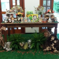 Tema Safari