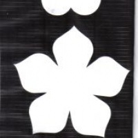 forminhas brancas/estampadas