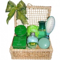 Cesta Spa