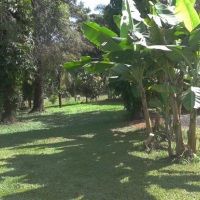 OUTRA ÁREA DE SOMBRA