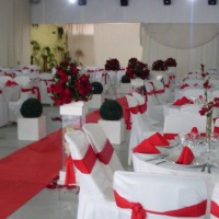 temos vários parceiros para decoração, buffet e utencilíos para festa