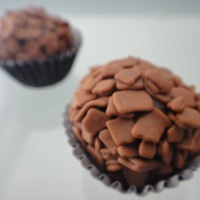 Chocolate Belga
