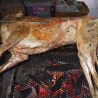 Carneiro no Rolete