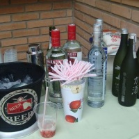 Vodkas. Saquês, Cachaça