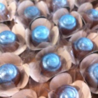 Trufas peroladas