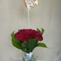 APENAS ROSAS