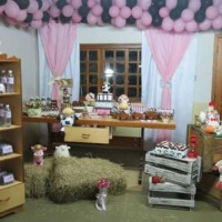 Festa Fazendinha Menina!