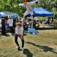 Skyrunner
