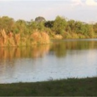 LAGO