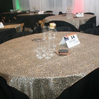 15 anos - decoração "preto e onça"