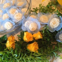 Flor de Coco