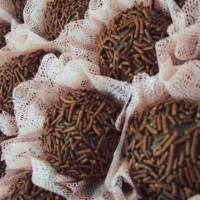 Brigadeiro Choco