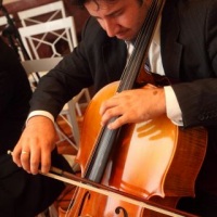 violoncelo