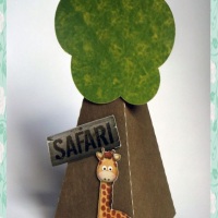Cone safari