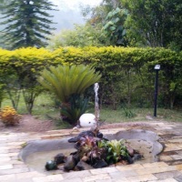 Chafariz no jardim