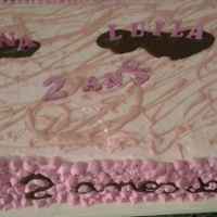 2 aninhos